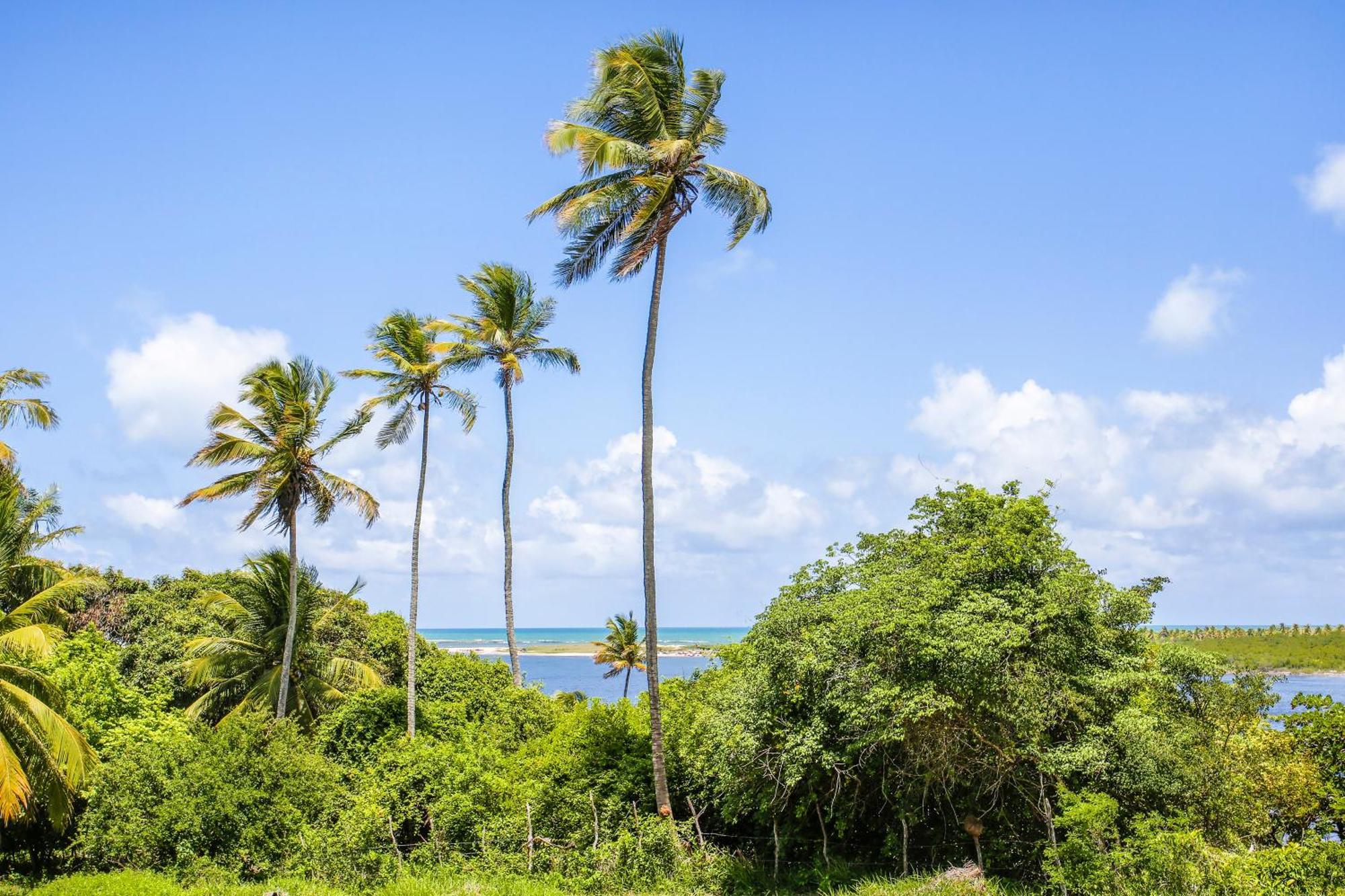 Barravilha Chales Barra do Cunhau Zewnętrze zdjęcie